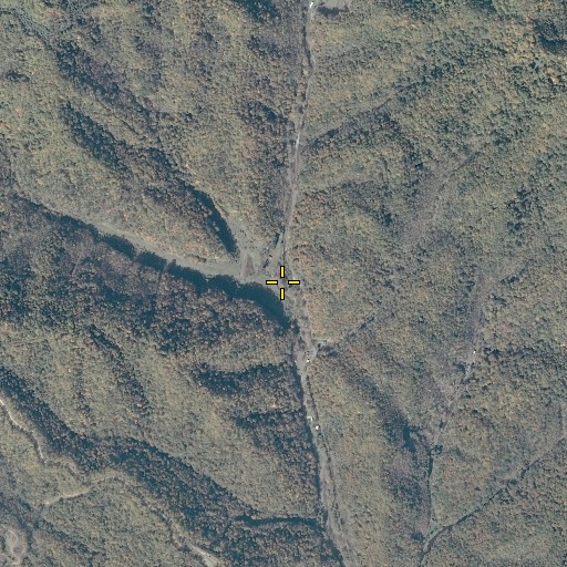 Aerial/Satellite Image of Meadows Branch, VA