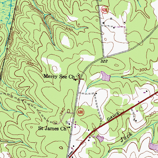 Topographic Map of Mercy See Church, VA