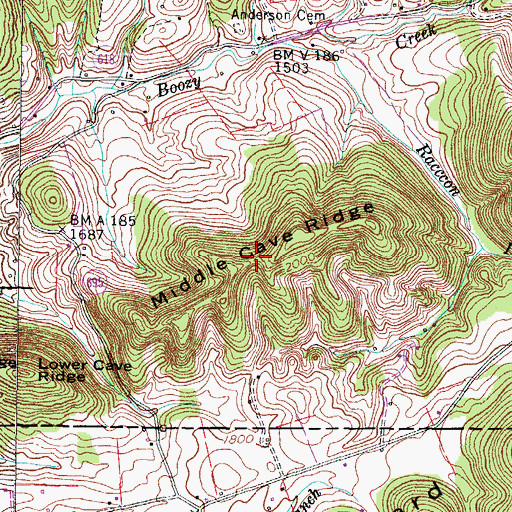 Topographic Map of Middle Cave Ridge, VA