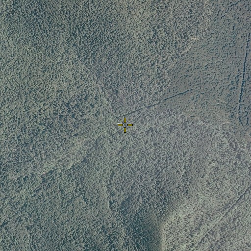 Aerial/Satellite Image of Mill Prong, VA