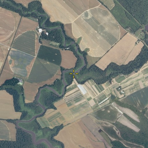 Aerial/Satellite Image of Mill Swamp, VA
