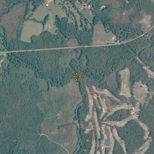 Aerial/Satellite Image of Millpond Swamp, VA
