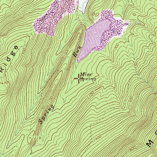 Topographic Map of Mine Spring, VA