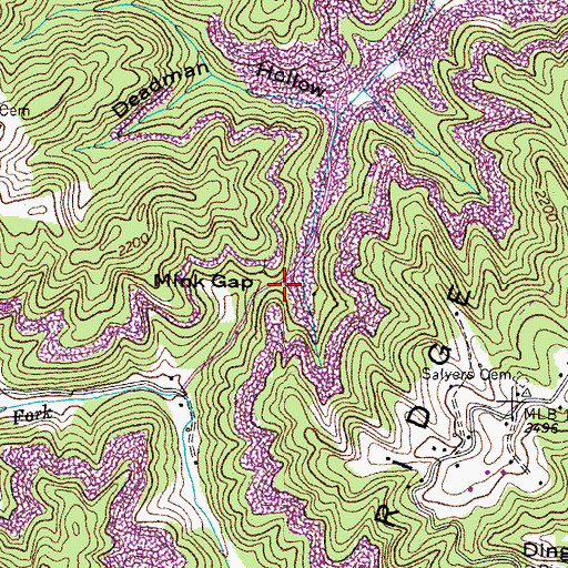 Topographic Map of Mink Gap, VA
