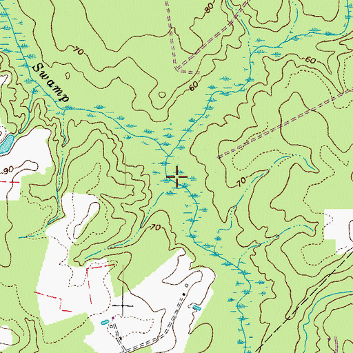 Topographic Map of Moores Swamp, VA