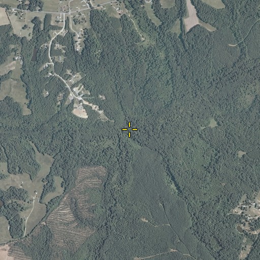 Aerial/Satellite Image of Morris Branch, VA