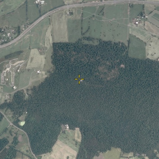 Aerial/Satellite Image of Mount Pony, VA