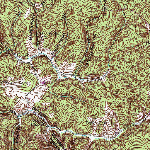 Topographic Map of Muddy Spring Hollow, VA
