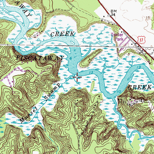 Topographic Map of Mussel Swamp, VA