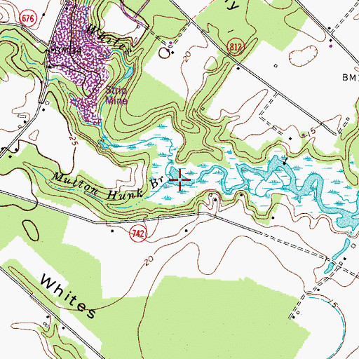 Topographic Map of Mutton Hunk Branch, VA