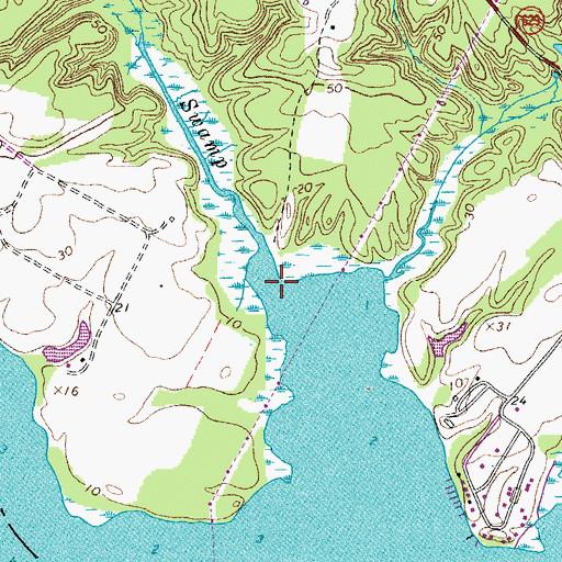 Topographic Map of My Ladys Swamp, VA