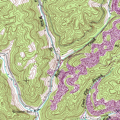 Topographic Map of Nance White Branch, VA