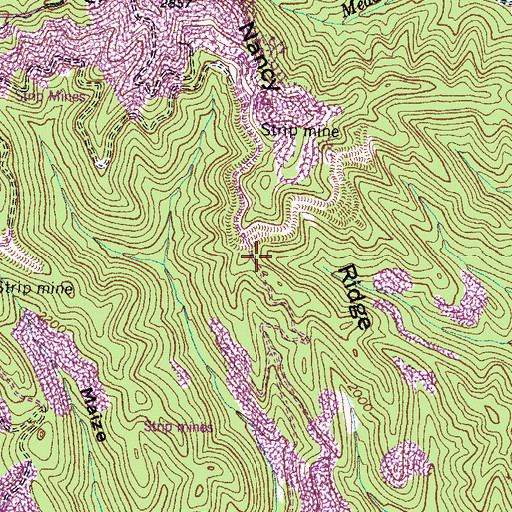 Topographic Map of Nancy Ridge, VA