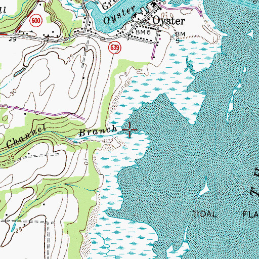 Topographic Map of Narrow Channel Branch, VA