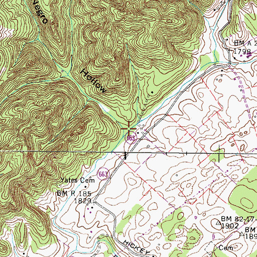 Topographic Map of Negro Hollow, VA