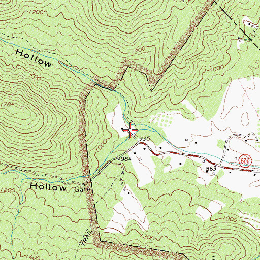 Topographic Map of Nicholson Hollow, VA