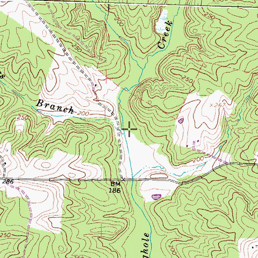 Topographic Map of Old Miss Branch, VA