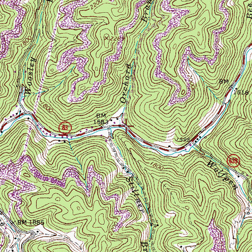 Topographic Map of Orchard Branch, VA