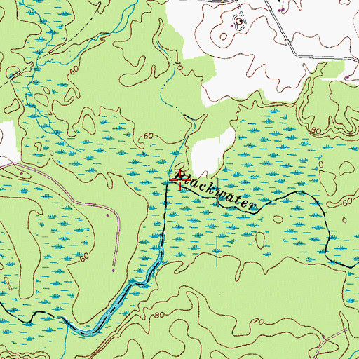 Topographic Map of Otterdam Swamp, VA