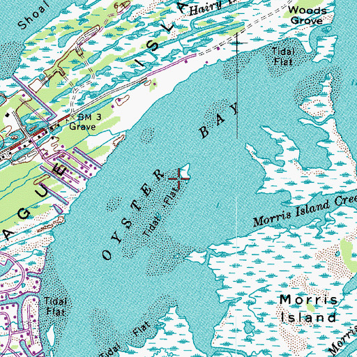 Topographic Map of Oyster Bay, VA