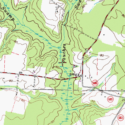 Topographic Map of Passenger Swamp, VA