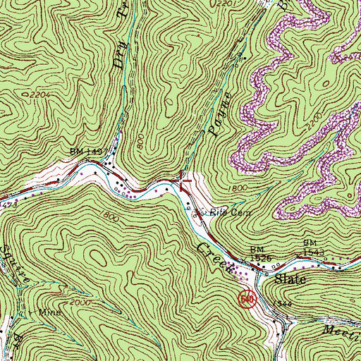 Topographic Map of Payne Branch, VA