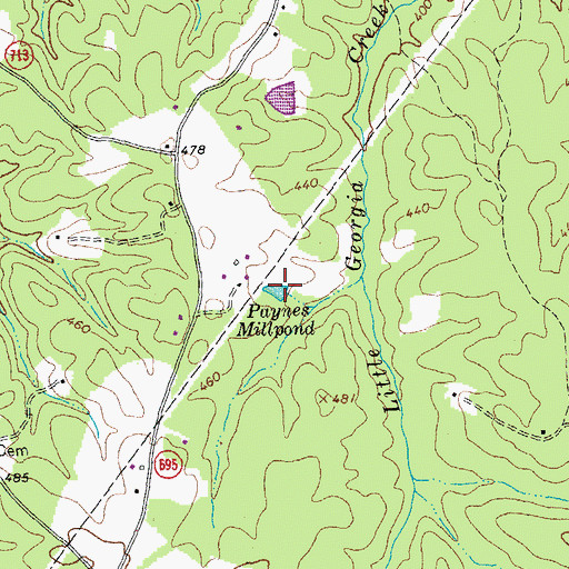 Topographic Map of Paynes Millpond, VA