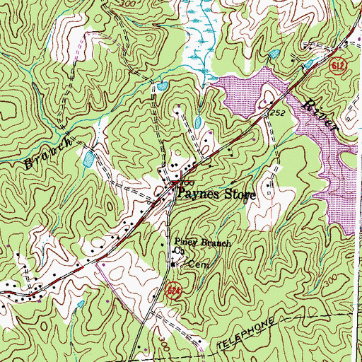 Topographic Map of Paynes Store, VA