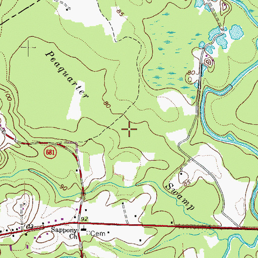 Topographic Map of Peaquarter Swamp, VA