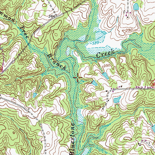 Topographic Map of Persimmon Tree Branch, VA