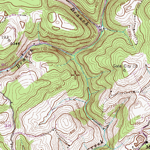 Topographic Map of Peters Branch, VA