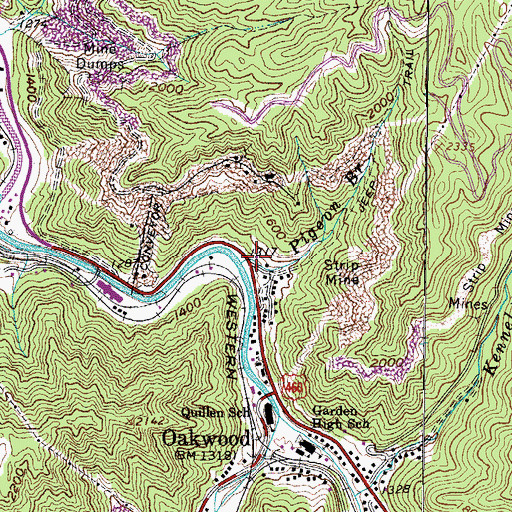 Topographic Map of Pigeon Branch, VA