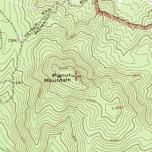 Topographic Map of Pignut Mountain, VA