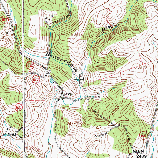 Topographic Map of Pine Fork, VA