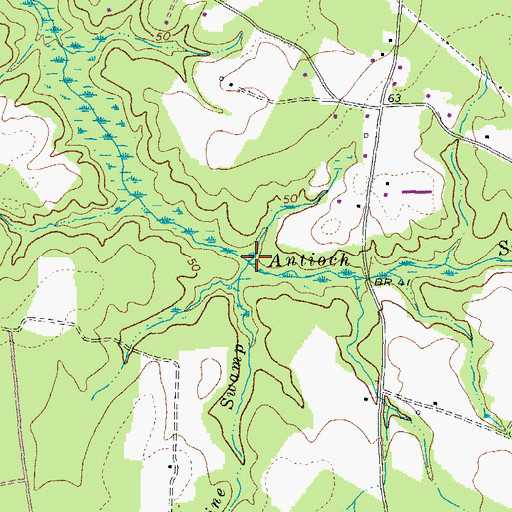 Topographic Map of Pine Swamp, VA