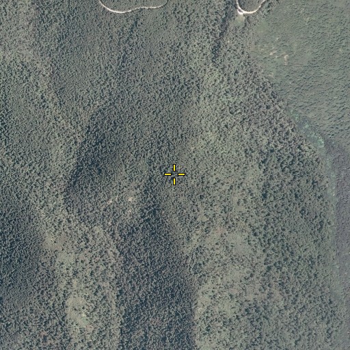 Aerial/Satellite Image of Pinnacle Ridge Trail, VA