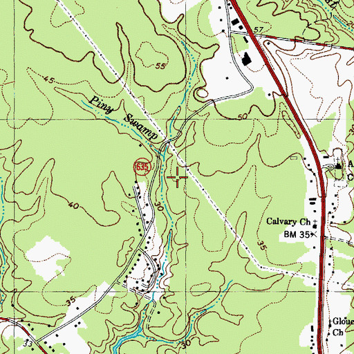 Topographic Map of Piny Swamp, VA