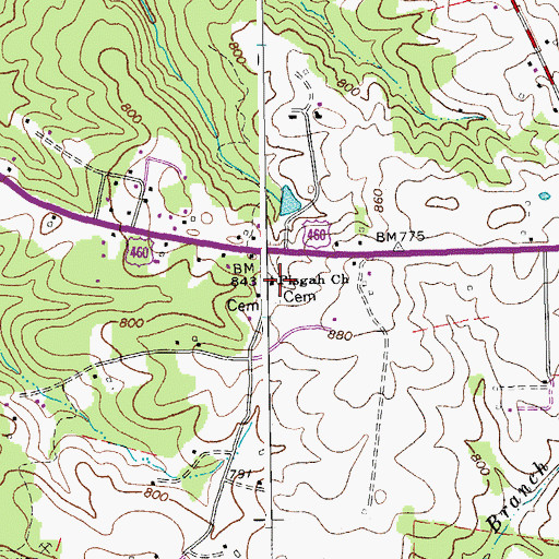 Topographic Map of Pisgah Church, VA