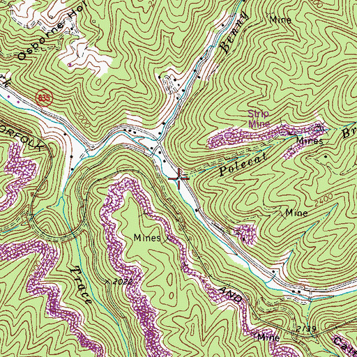 Topographic Map of Polecat Branch, VA