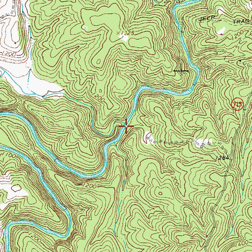 Topographic Map of Poplar Camp Creek, VA