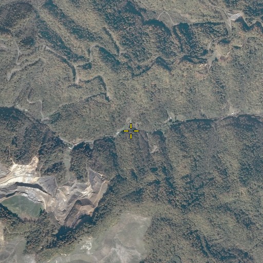 Aerial/Satellite Image of Poplar Gap, VA