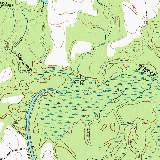Topographic Map of Poplar Swamp, VA