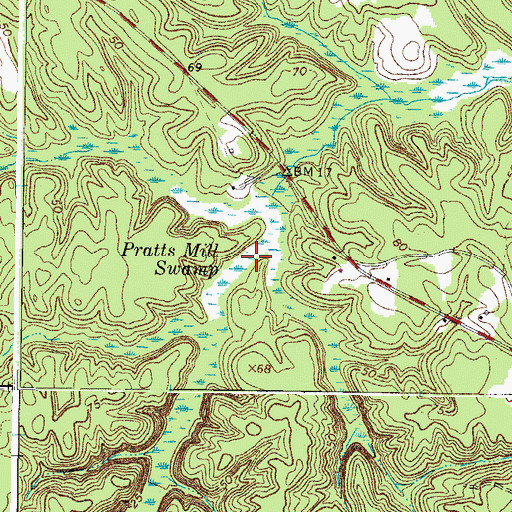 Topographic Map of Pratts Mill Swamp, VA