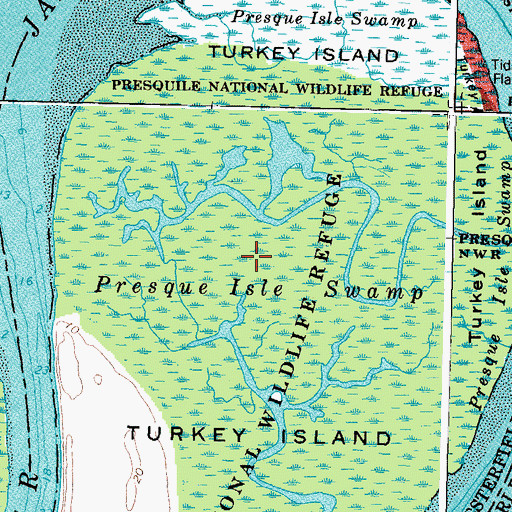 Topographic Map of Presque Isle Swamp, VA