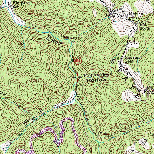 Topographic Map of Pressley Hollow, VA