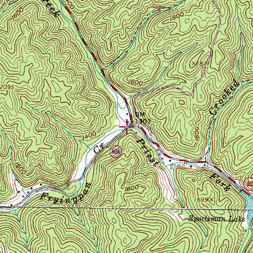 Topographic Map of Priest Fork, VA