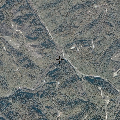 Aerial/Satellite Image of Priest Fork, VA