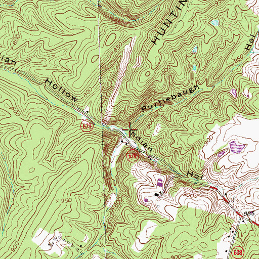 Topographic Map of Purtlebaugh Hollow, VA