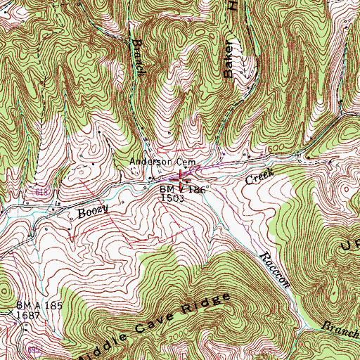 Topographic Map of Raccon Branch, VA