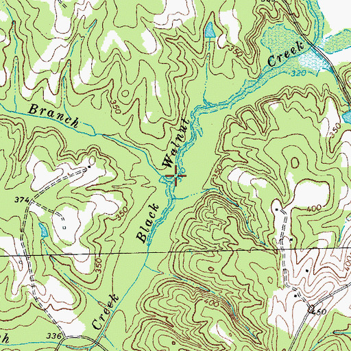 Topographic Map of Race Branch, VA